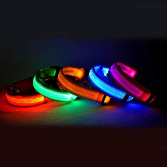 LED Safety Dog Collar