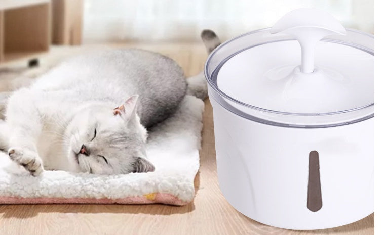 Automatic Pet Water Fountain