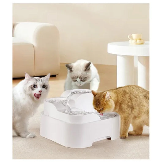 Cat Water Fountain