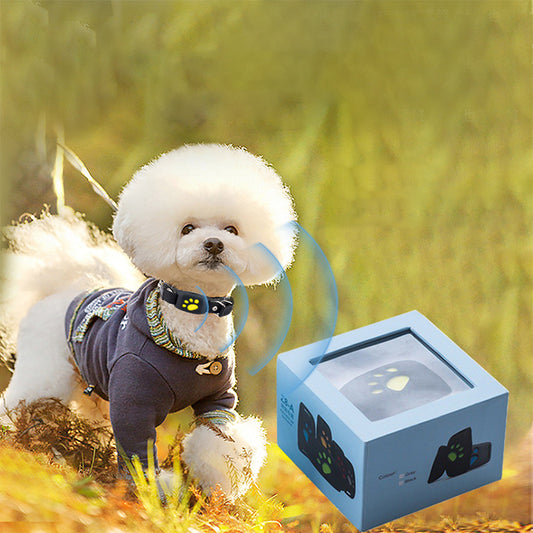 Accurate Real-Time 2G/4G GPS Pet Tracker