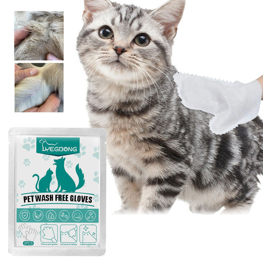 Disposable Pet Wash Free Gloves