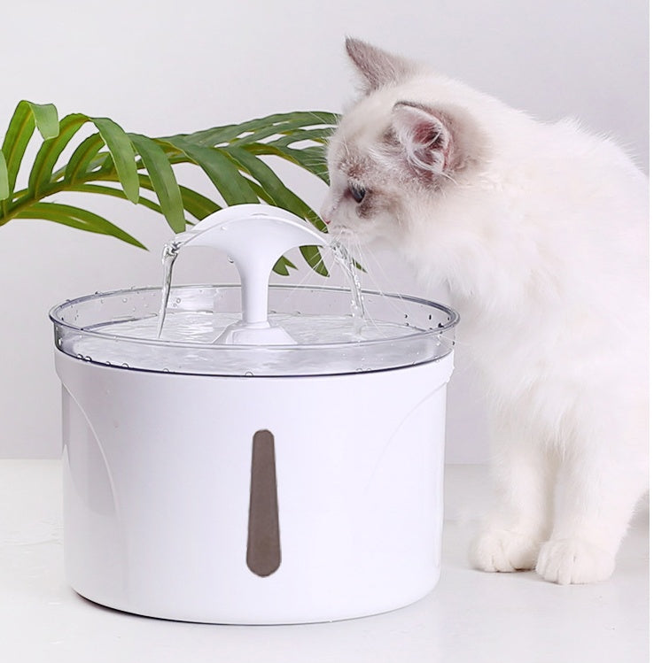 Automatic Pet Water Fountain