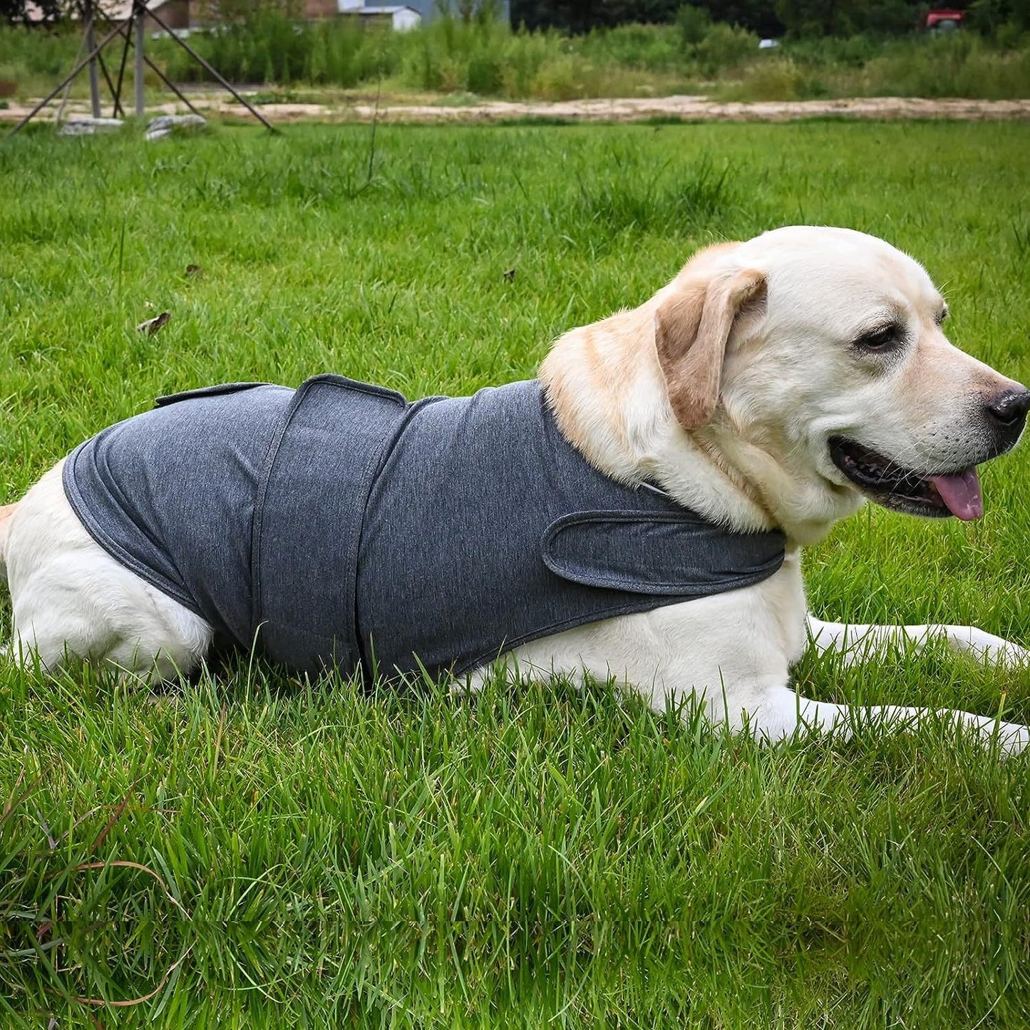 Dog Anxiety Jacket