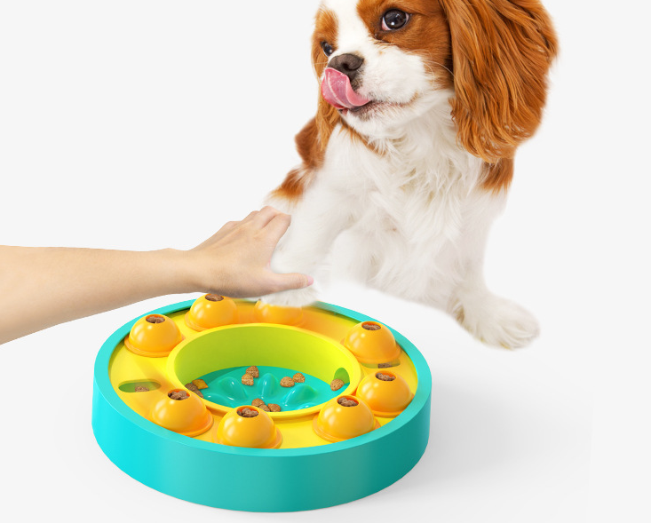 Interactive Pet Feeding & Enrichment Toy