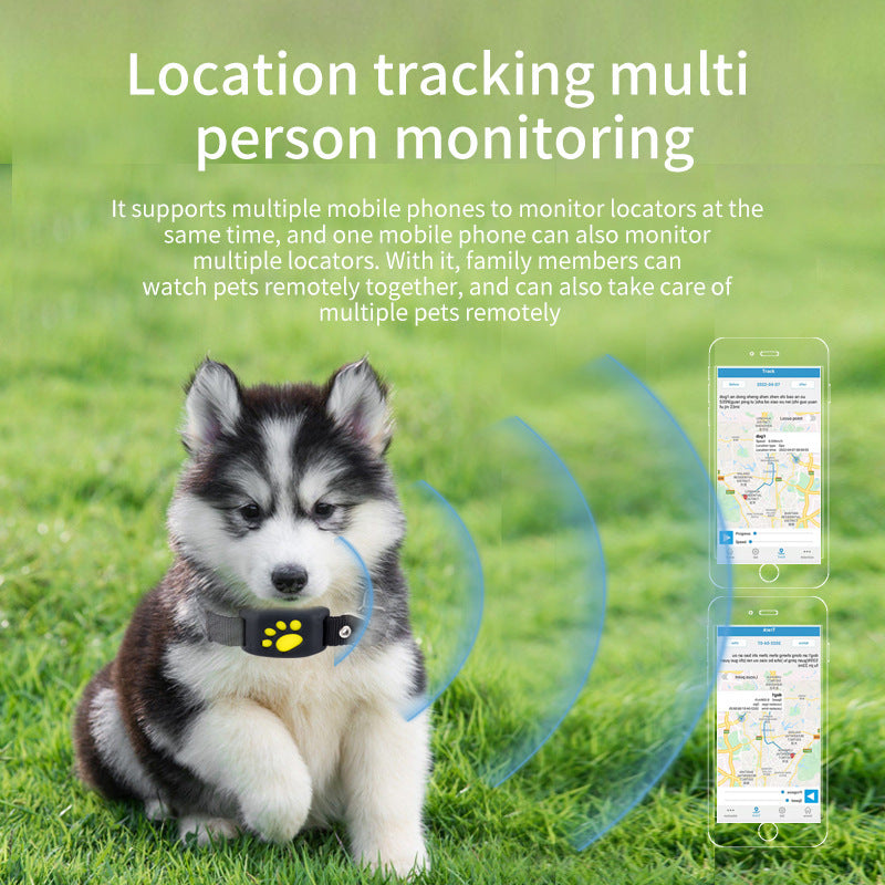 Accurate Real-Time 2G/4G GPS Pet Tracker