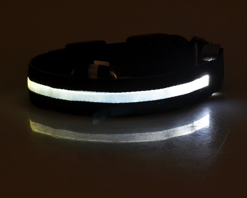 LED Safety Dog Collar