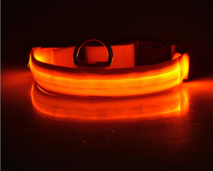 LED Safety Dog Collar
