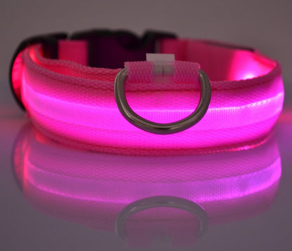 LED Safety Dog Collar