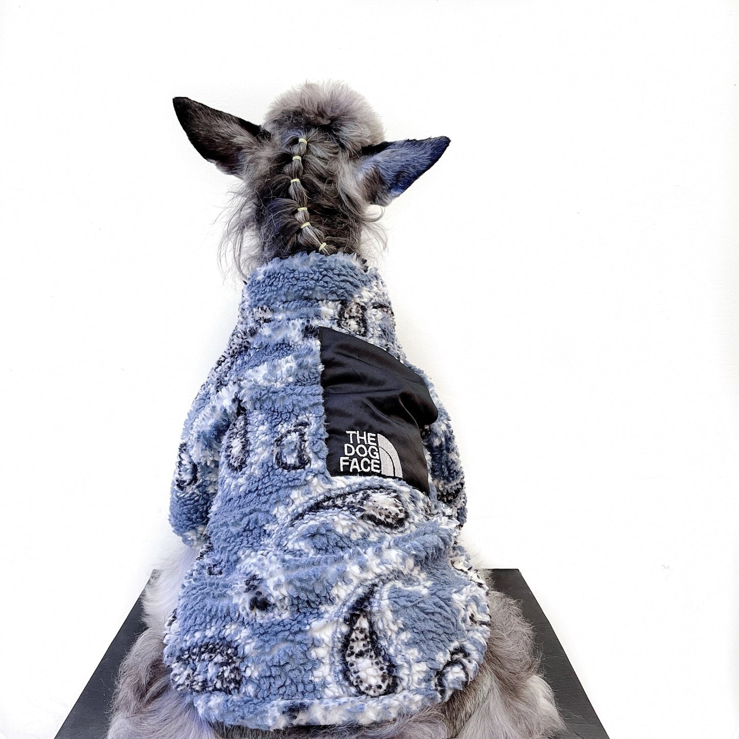 The Dog Face Dog Apparel