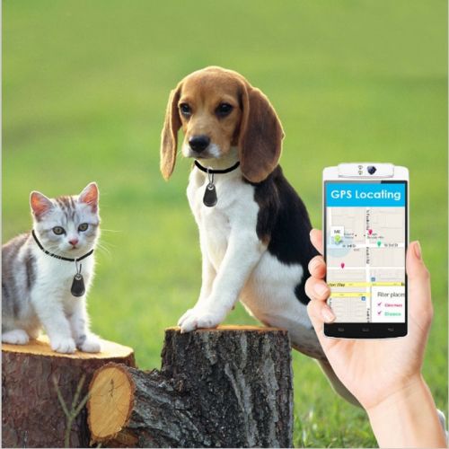 4G Smart Pet GPS Tracker