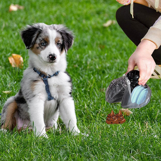 Portable Foldable Poop Scoop & Bag Dispenser
