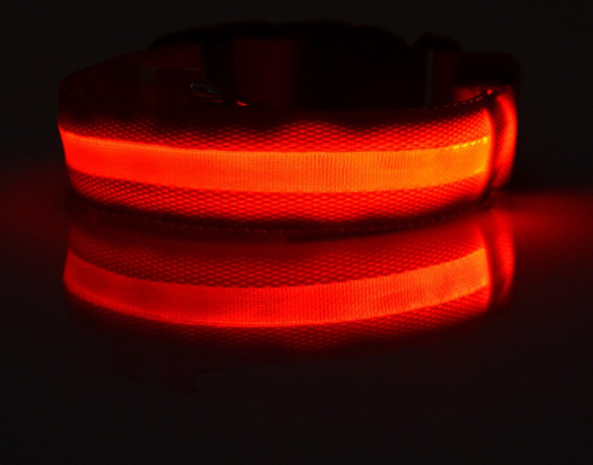 LED Safety Dog Collar