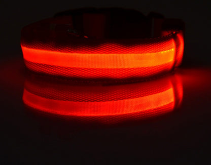 LED Safety Dog Collar