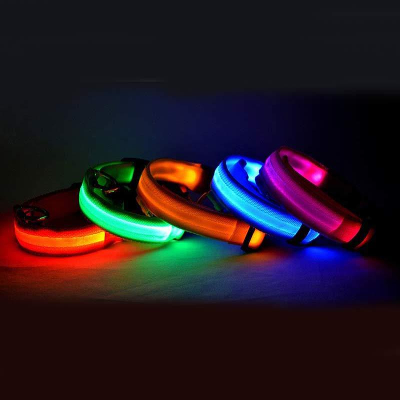 LED Safety Dog Collar
