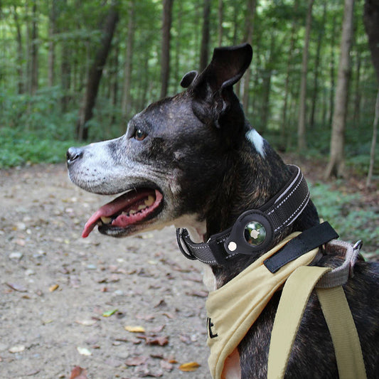 Tracker Pet Collar Cover
