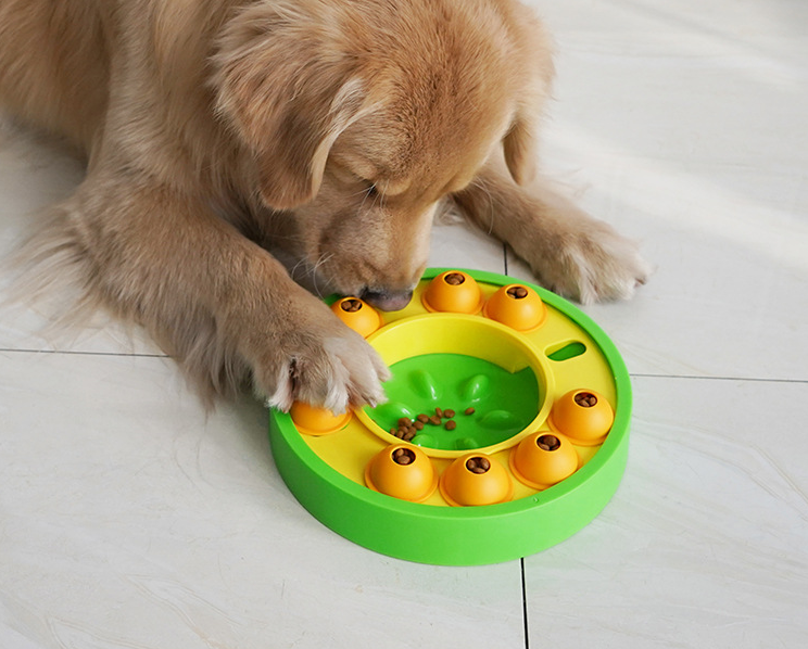 Interactive Pet Feeding & Enrichment Toy