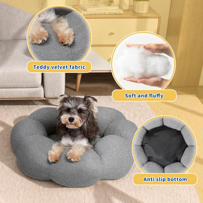 Calming Bed for Indoor Pets