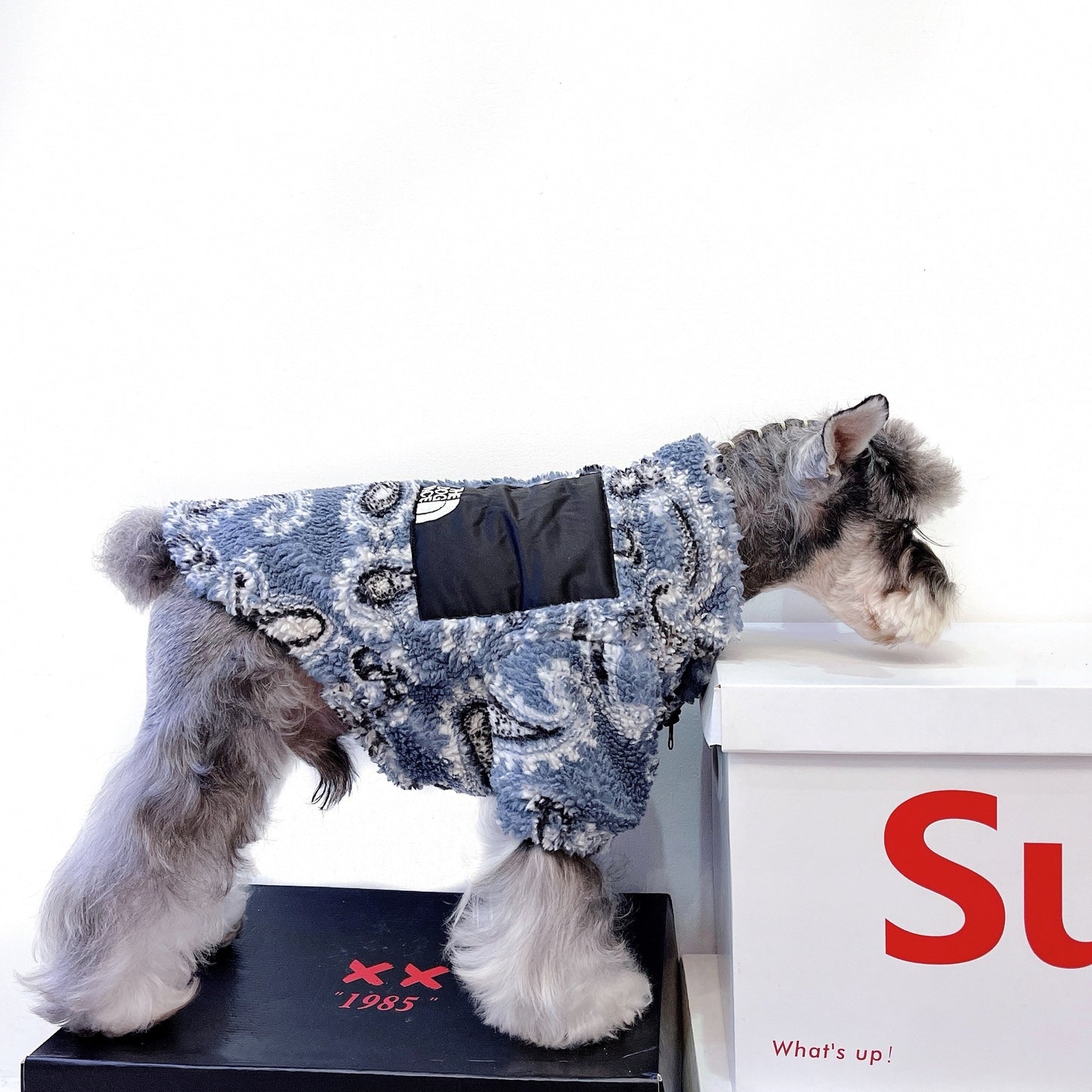 The Dog Face Dog Apparel
