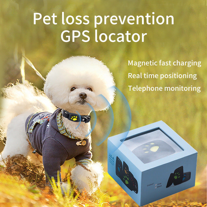 Accurate Real-Time 2G/4G GPS Pet Tracker