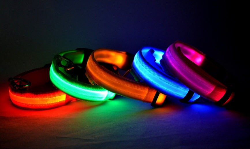 LED Safety Dog Collar