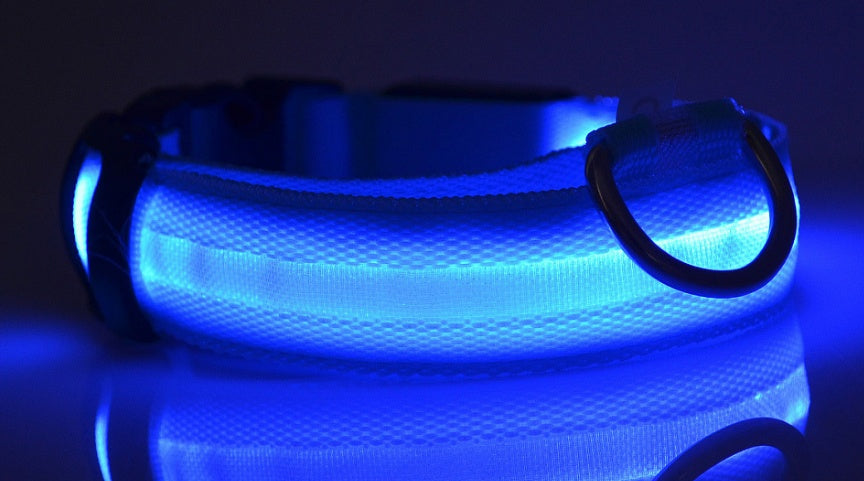 LED Safety Dog Collar