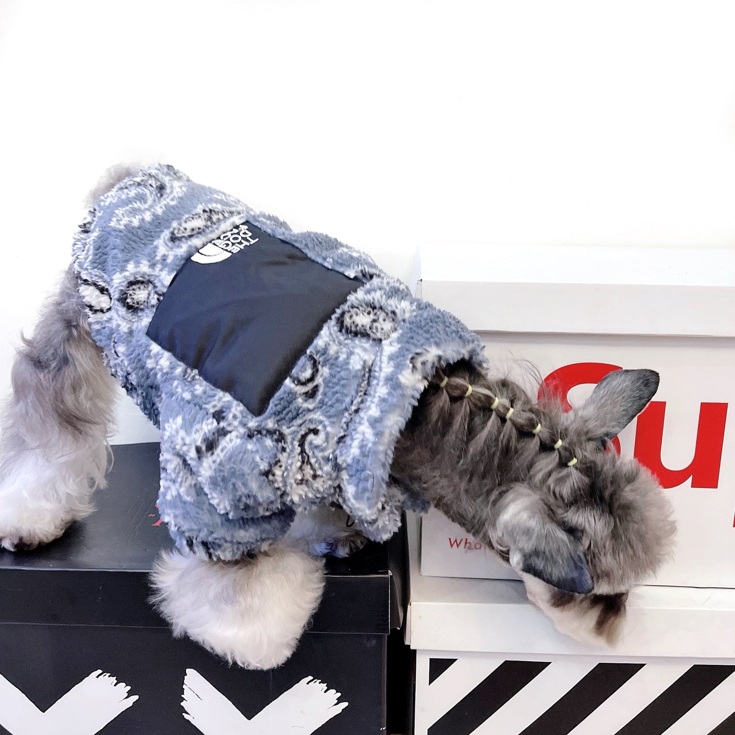 The Dog Face Dog Apparel