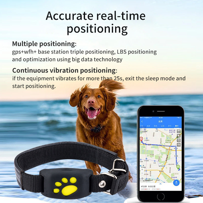 Accurate Real-Time 2G/4G GPS Pet Tracker
