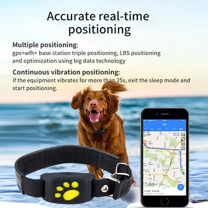 Accurate Real-Time 2G/4G GPS Pet Tracker