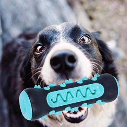 Dog Toothbrush Chew Toy