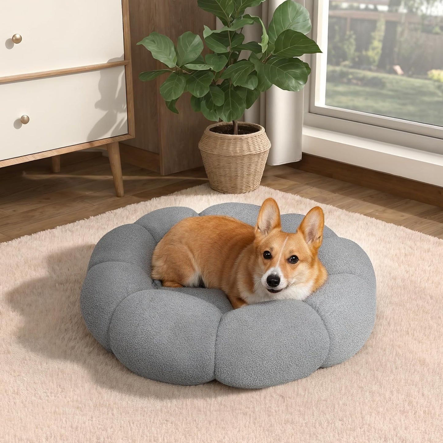 Calming Bed for Indoor Pets