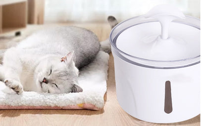 Automatic Pet Water Fountain