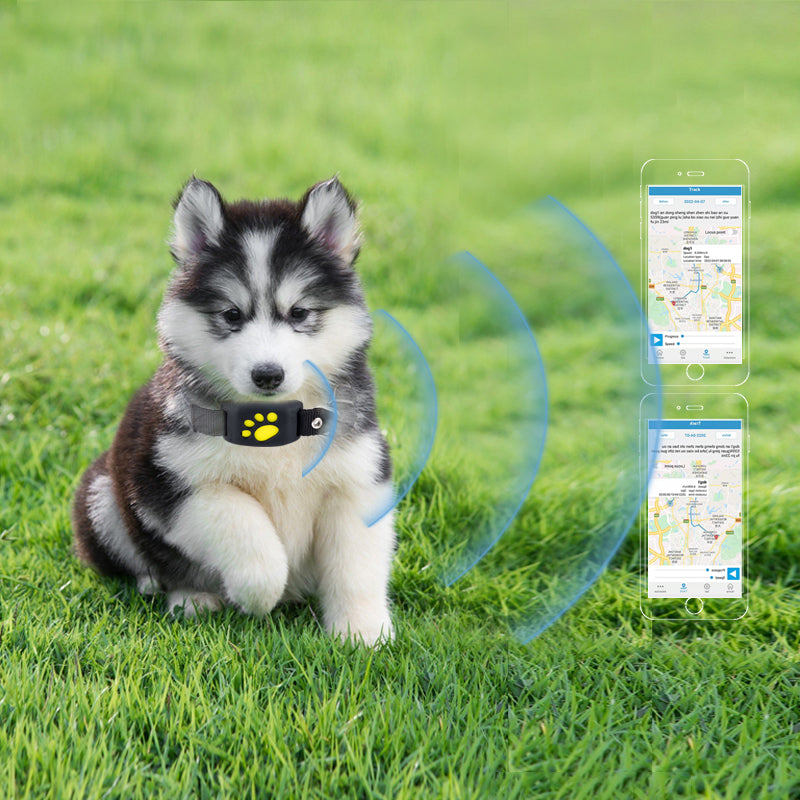 Accurate Real-Time 2G/4G GPS Pet Tracker