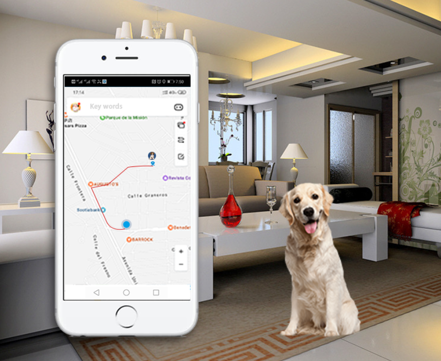 4G Smart Pet GPS Tracker
