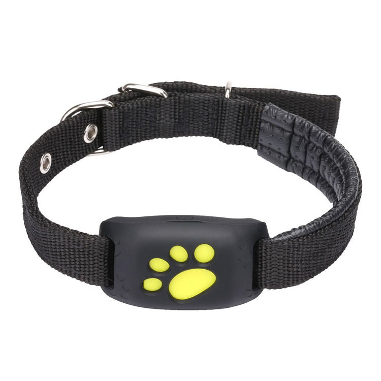 Accurate Real-Time 2G/4G GPS Pet Tracker