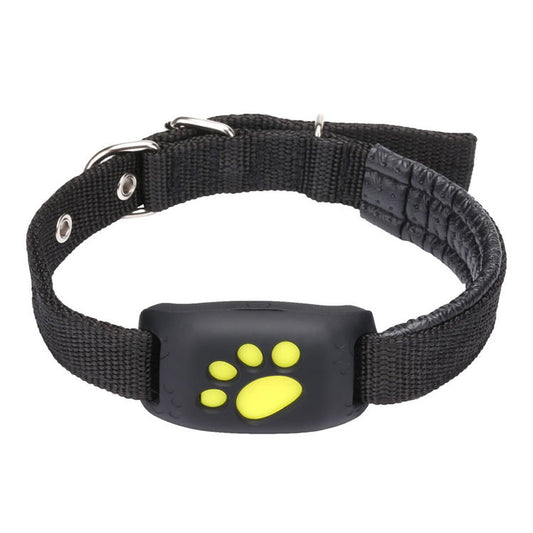 Accurate Real-Time 2G/4G GPS Pet Tracker