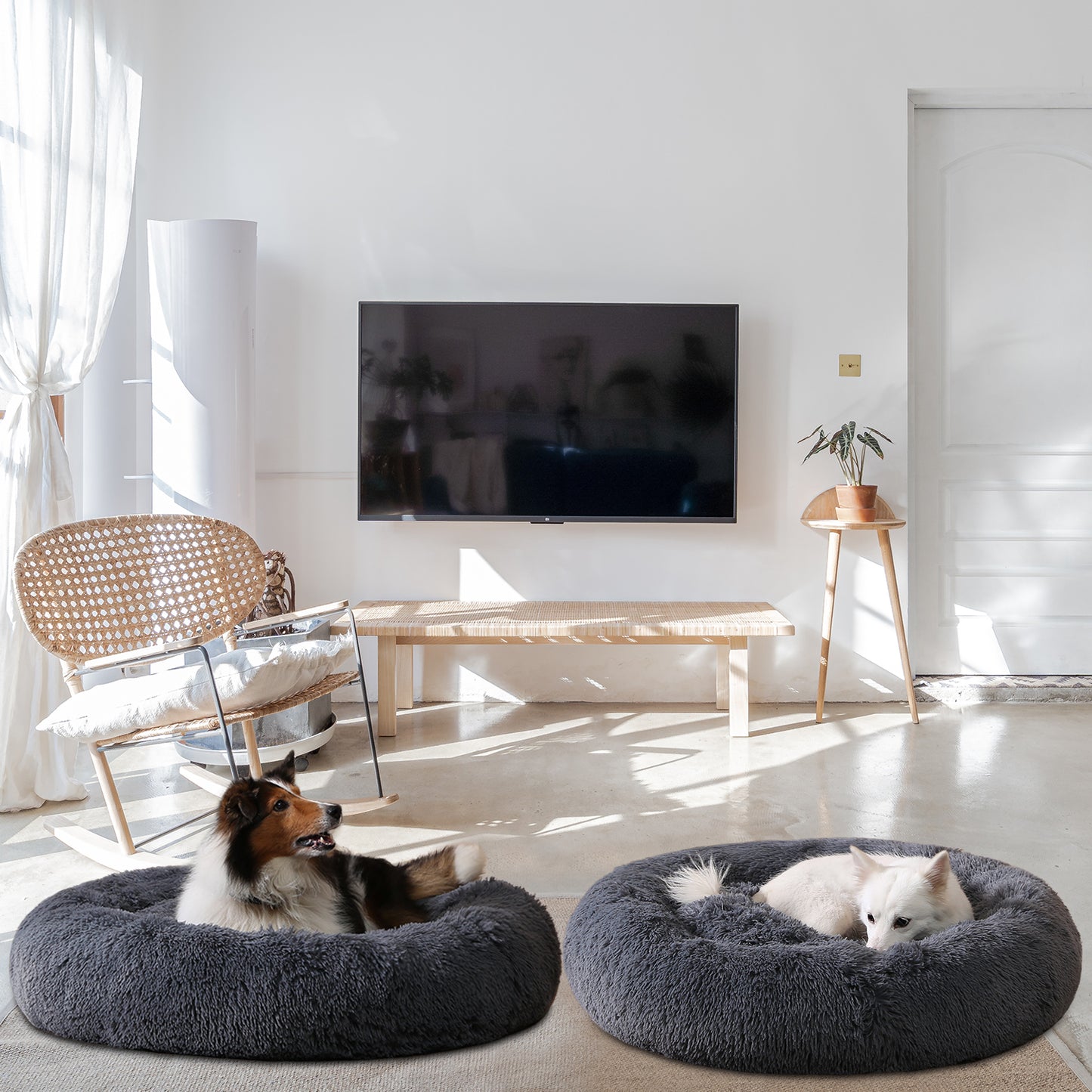 Fluffy Round Calming Dog Bed