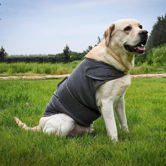 Dog Anxiety Jacket